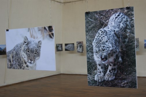 Король горных вершин Король горных вершин